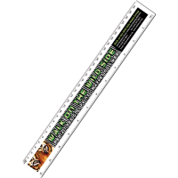 30cm Ruler