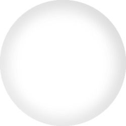 Yo-Yo in White