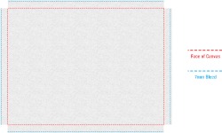 CanvasPro 406 x 305mm in White