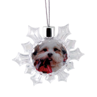 Snowflake Ornament
