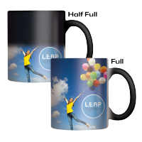 Chameleon Coffee Mug