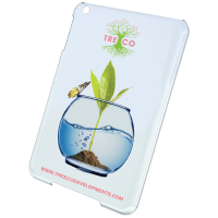 Transparent iPad Mini 2 Case