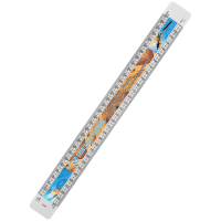 300mm Scale Ruler
