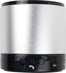 Triton Bluetooth Speaker in Silver