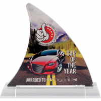 Printed Example of Fin-Shaped Award