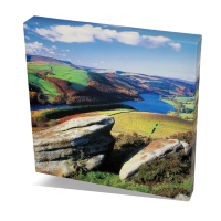 Printed Example of CanvasPro 305 x 305mm
