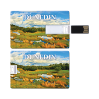 Printed Example of Credit Card Flash Drive - 4GB
