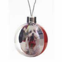Printed Example of Picto Bauble - Large