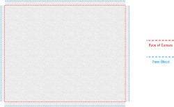 CanvasPro 500 x 400mm in White