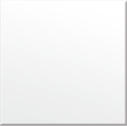 Carnival Colouring Pencils 12 Pack Half Size in White