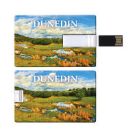 Credit Card Flash Drive - 4GB
