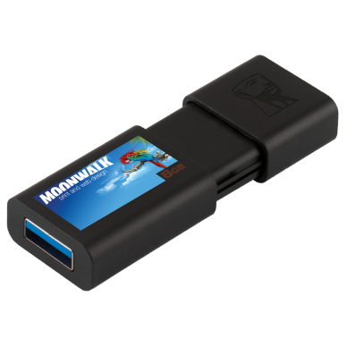 Kingston DataTraveler 100 G3 - 8GB