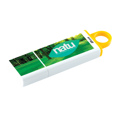 Kingston DataTraveler G4 - 8GB