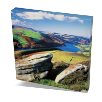 CanvasPro 305 x 305mm